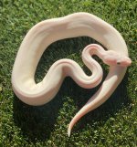 thumbnail_IMG_8118.jpg