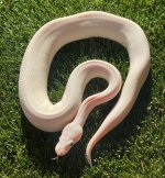 thumbnail_IMG_8117.jpg