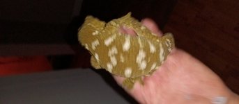 IMG_20230113_182204.jpg