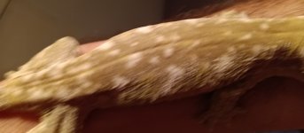 IMG_20230208_183340.jpg