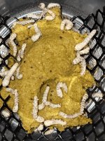 SILK 3.jpg