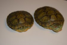 DSC_0251.jpg