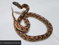 20221013_160139.jpg