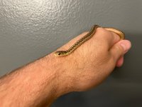 IMG_0820.jpg