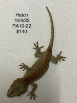 9753A9A2-7BB2-471C-830C-D4436FE538DF.jpg