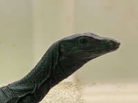 PXL_20200922_234440694.PORTRAIT.jpg