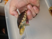 IMG_20221001_110755.jpg