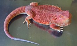 20220714_114352.jpg