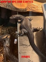 A0E85297-1908-4CB1-BC4B-D122EB389288.jpg