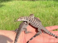 300592095_2823277061149743_7625516203896923309_n.jpg