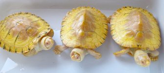 6AEDA6F5-6D8D-4080-9DCD-58FA0AEB7A09.jpg