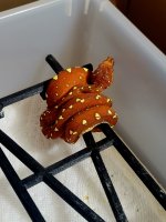 20220617_102723.jpg