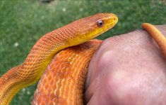 Everglades3.jpg