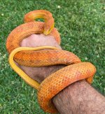 Everglades5.jpg