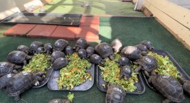 900 group IMG_9555.jpg