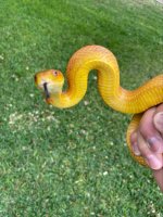 Everglades6.jpg