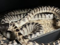 4E7981FE-0F5C-45D2-B7FD-D05F39FDE0B7.jpg