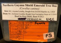 Label 8-26.jpg