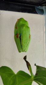 IMG_20220821_165028.jpg