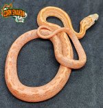 071122101F-1.jpg