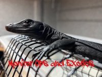 D65C5D04-2D5C-4831-AA62-E5D0239E3D47.jpeg