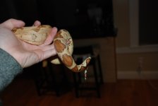 DSC_0014.jpg