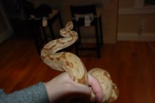 DSC_0013.jpg