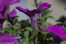 DSC_0014.jpg