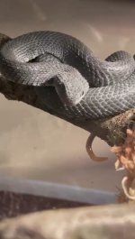 VideoCapture_20230128-193543.jpg