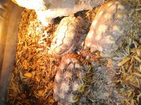 IMG_20221129_094644.jpg