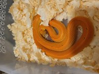 20221026_221937.jpg