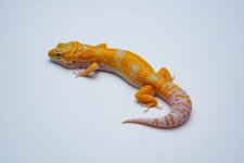 DSC07746.jpg