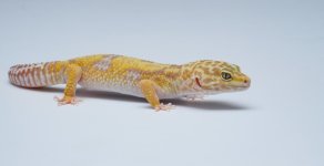 DSC07752.jpg