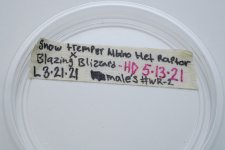 DSC07756.jpg