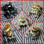 Picsart_23-01-02_22-21-52-358.jpg
