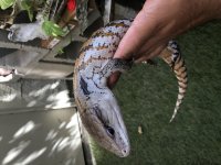 D2076514-7F78-452E-86C2-5EC06CF62287.jpg
