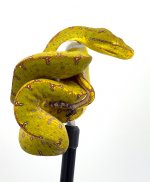 SBGTP2.2.jpg