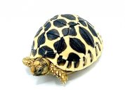 startort1 (1).jpg