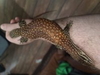 20201009_162138.jpg