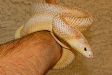 IMG_1977.jpg