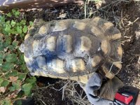 EFC2E747-5739-4C0D-ACBD-1C43186304EF.jpg