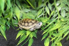 IMG_6432.jpg