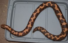DSC_0328.jpg