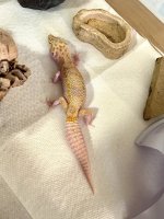 IMG_0986.jpg