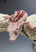 IMG_E7156 unfired 18 small.jpg