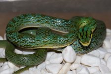 IMG_1096.jpg
