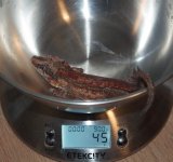 Gecko_edit5 weight.jpg