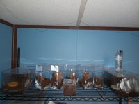 20220814_185218.jpg