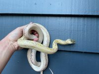 IMG_0978.jpg