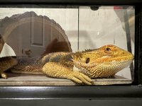 IMG_0544.jpg